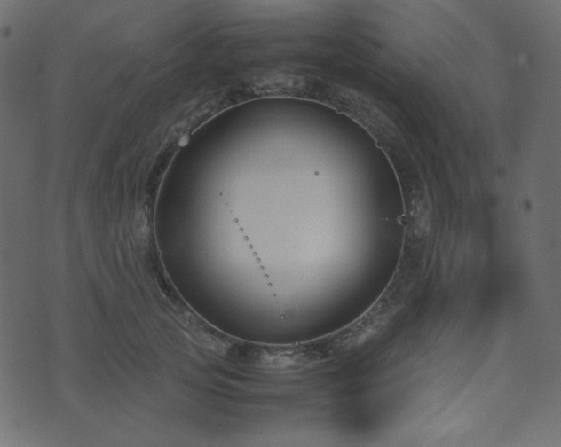 X0000074310753200608251235