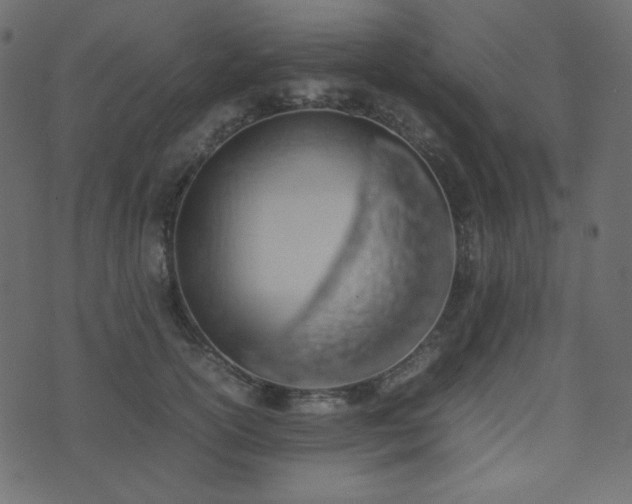 X0000074310754200608251235