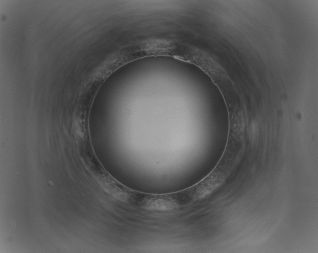 X0000074310755200608251235