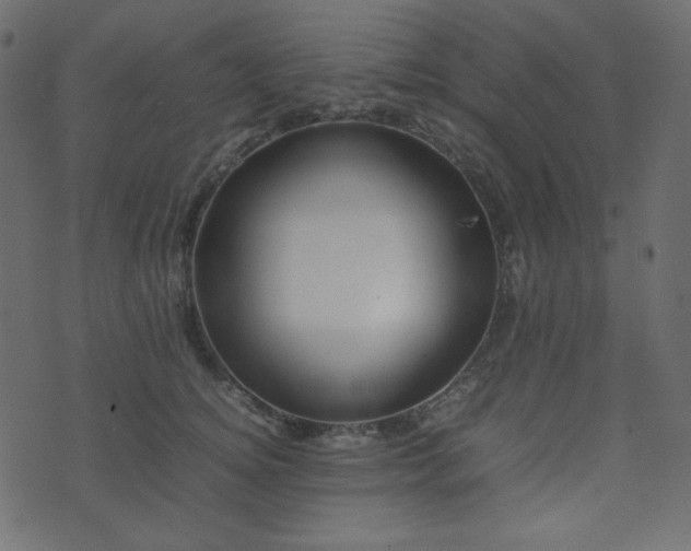 X0000074310756200608251235