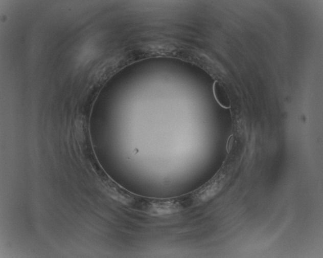 X0000074310757200608251235