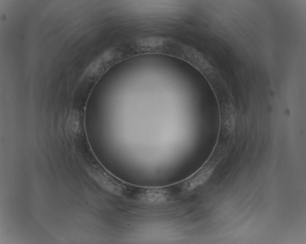 X0000074310758200608251235