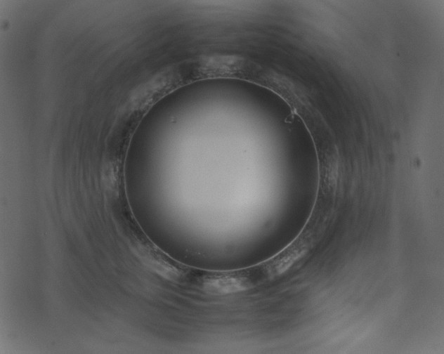 X0000074310759200608251235