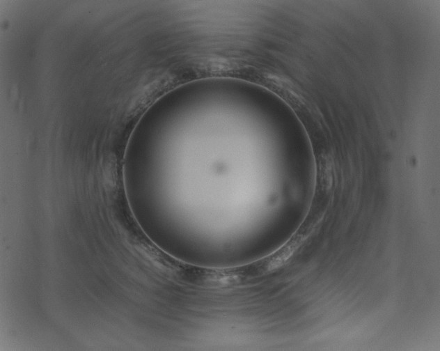 X0000074310760200608251235