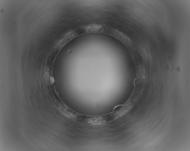 X0000074310761200608251235