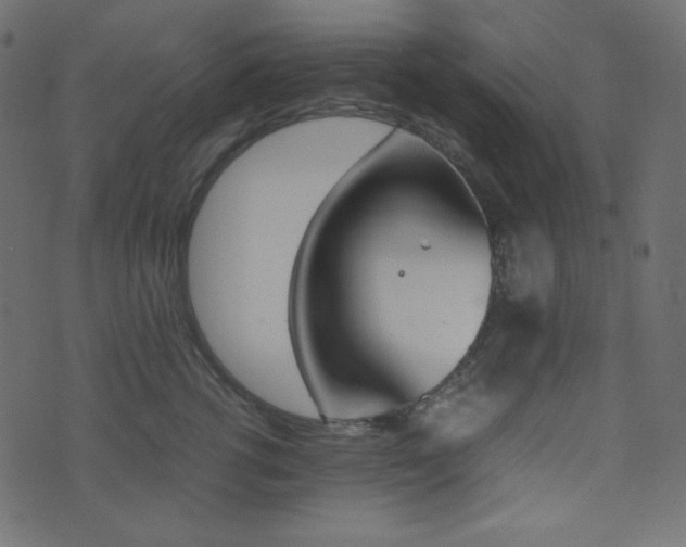 X0000074310762200608251235