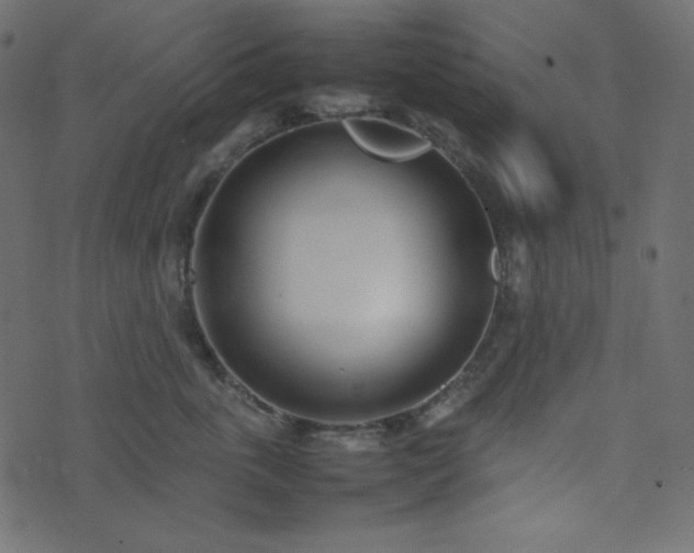 X0000074310763200608251235