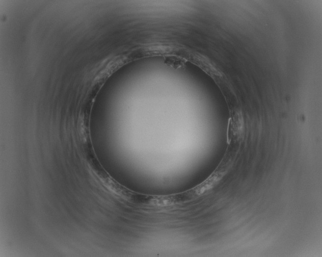 X0000074310764200608251235