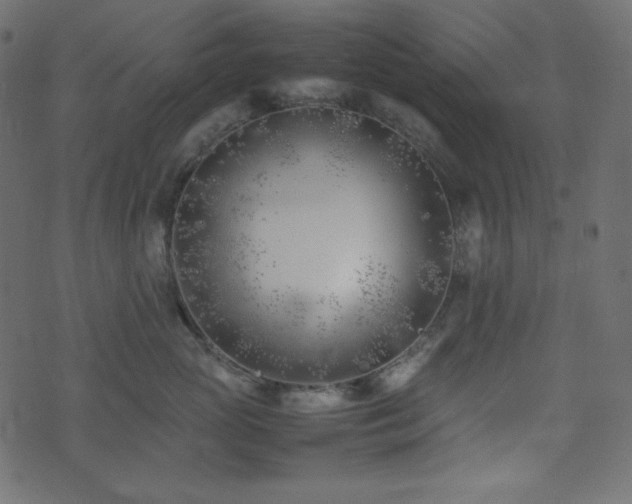 X0000074310765200608251235