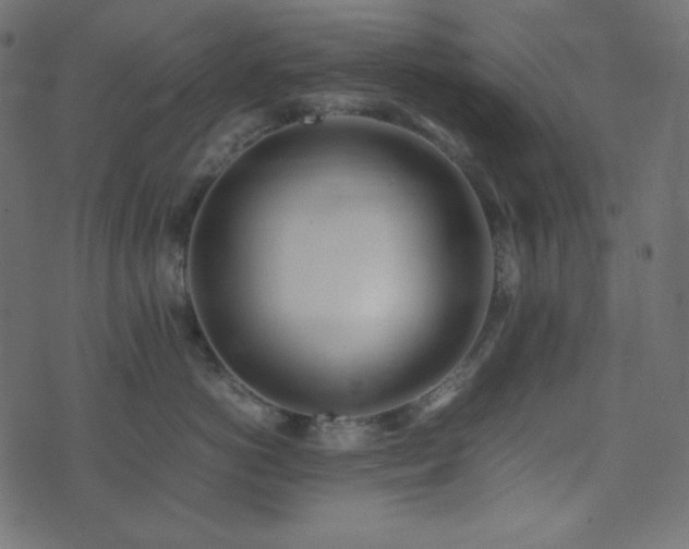 X0000074310766200608251235