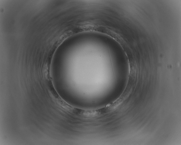 X0000074310767200608251235