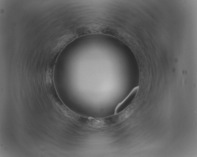 X0000074310768200608251235