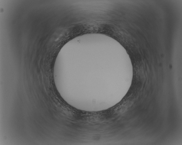 X0000074310769200608251235