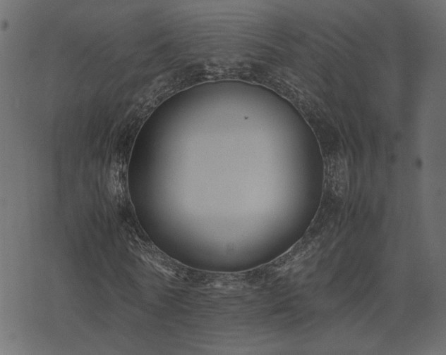 X0000074310770200608251235