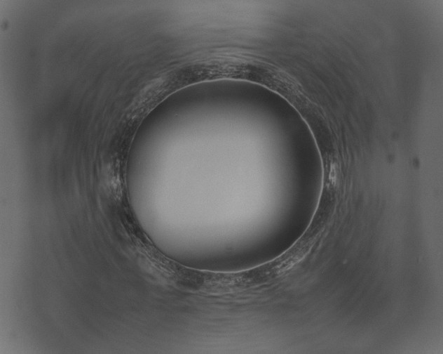 X0000074310771200608251235