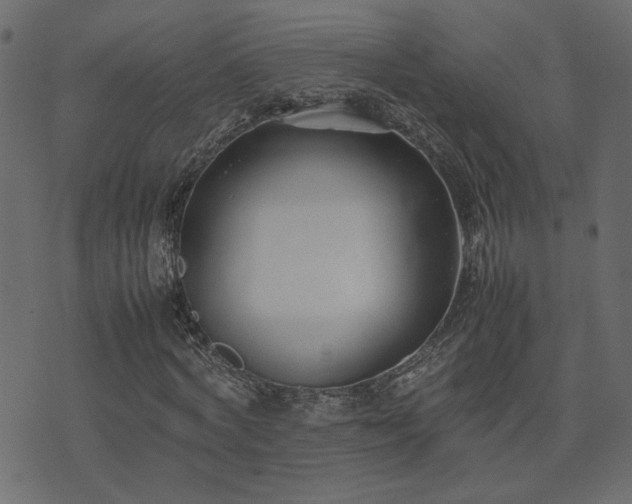 X0000074310772200608251235