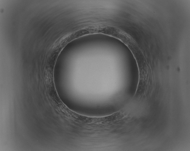 X0000074310773200608251235