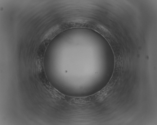 X0000074310774200608251235