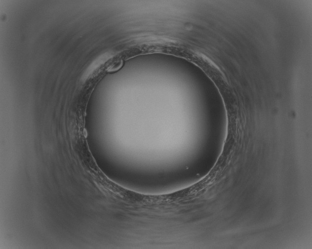 X0000074310775200608251235