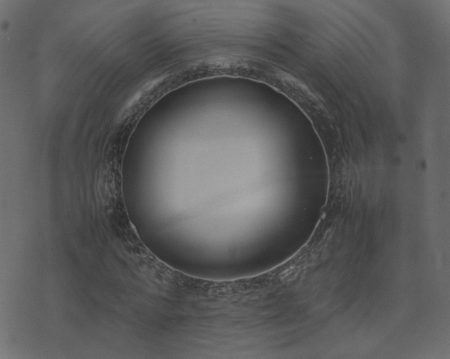 X0000074310776200608251234