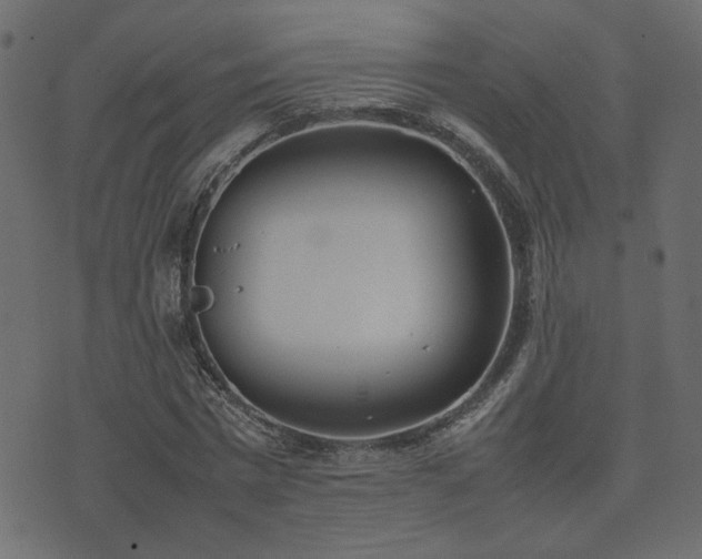 X0000074310777200608251234