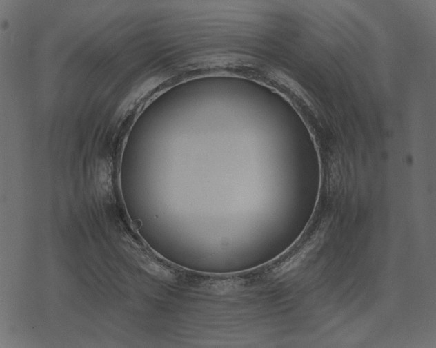 X0000074310778200608251234