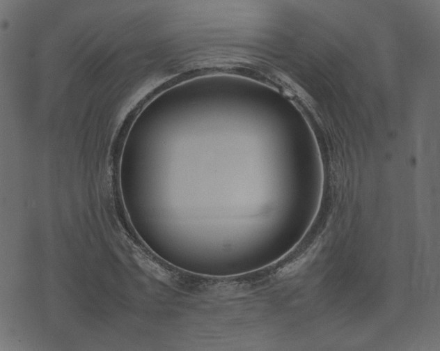 X0000074310779200608251234