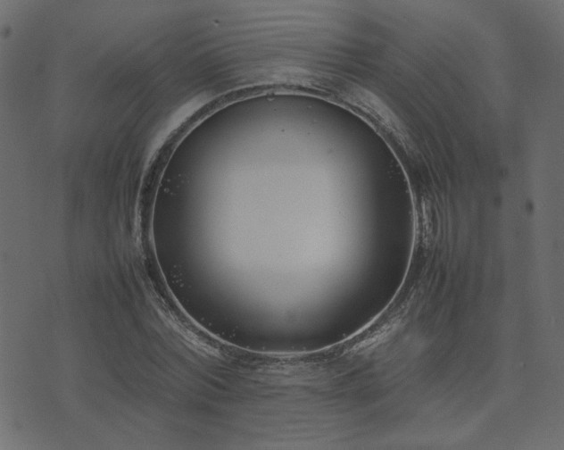 X0000074310780200608251234