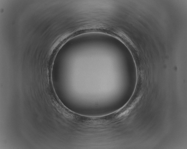 X0000074310781200608251234