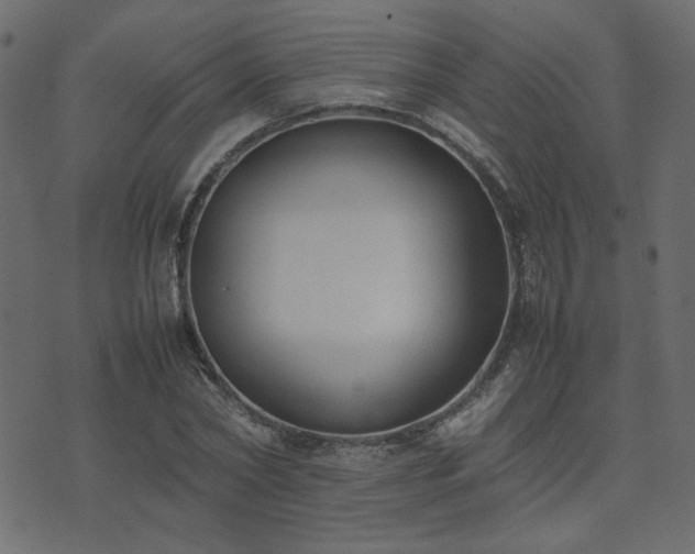 X0000074310782200608251234