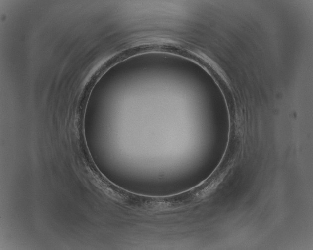 X0000074310783200608251234