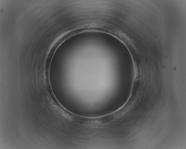 X0000074310784200608251234