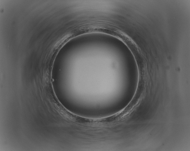 X0000074310785200608251234