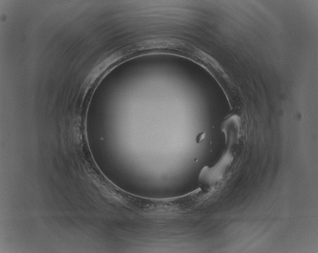 X0000074310786200608251234