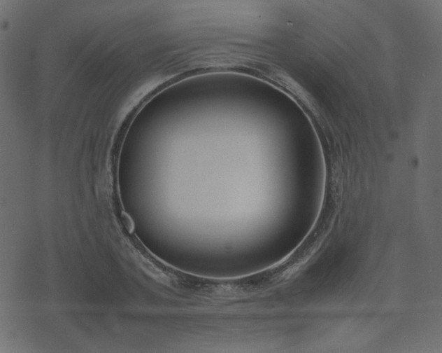 X0000074310787200608251234