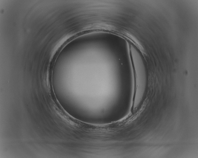 X0000074310788200608251234