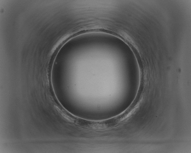 X0000074310789200608251234