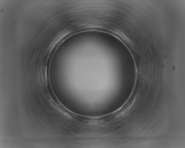 X0000074310790200608251234