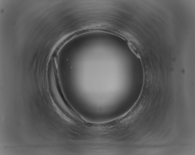 X0000074310792200608251234