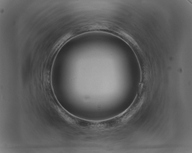 X0000074310793200608251234