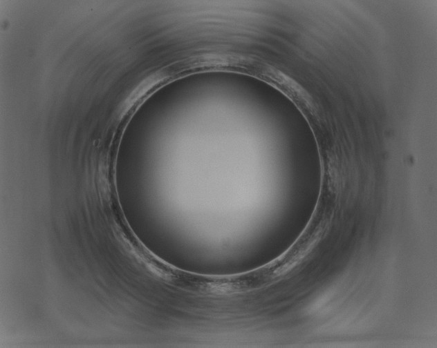 X0000074310794200608251234