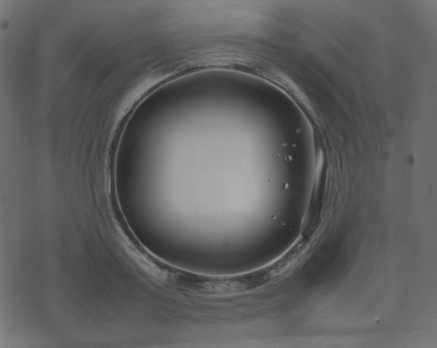 X0000074310795200608251234