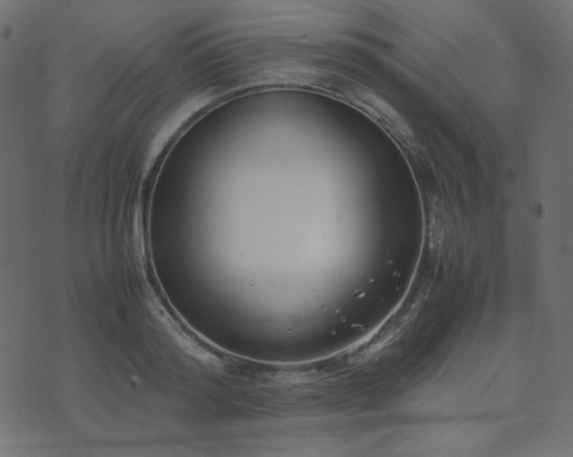 X0000074310796200608251234