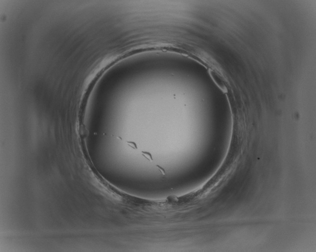 X0000074310797200608251234