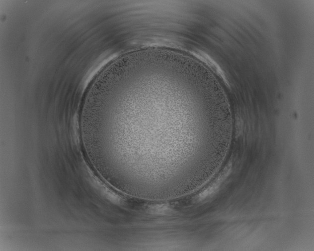 X0000074310798200608251234