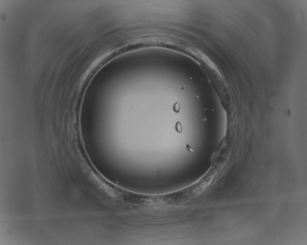 X0000074310799200608251234