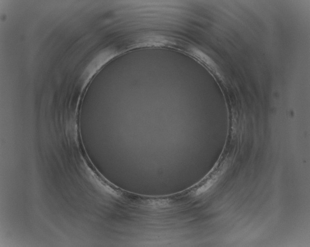 X0000074310802200608251234