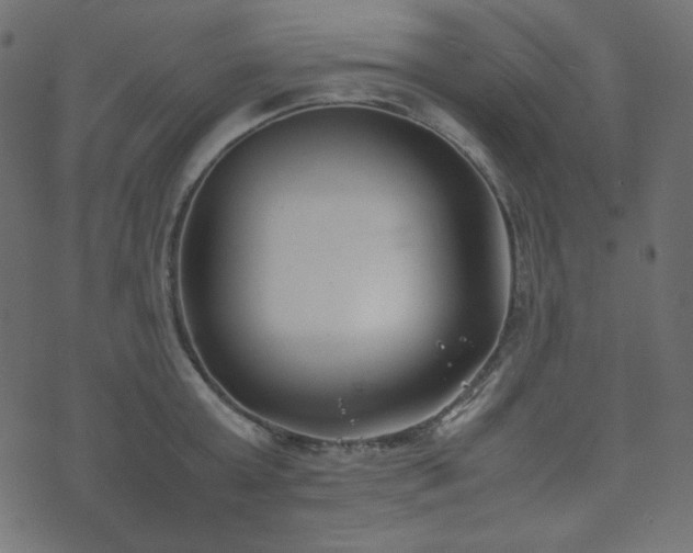 X0000074310803200608251234