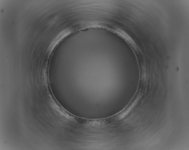 X0000074310806200608251234