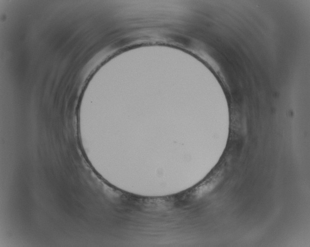 X0000074310807200608251234